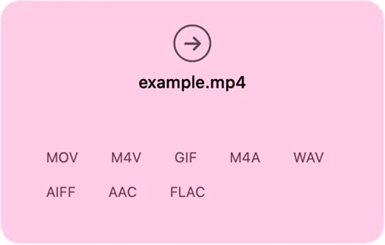 Laurel showing target format options for a video